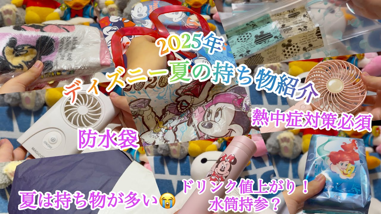ディズニー夏の持ち物紹介（2025年）