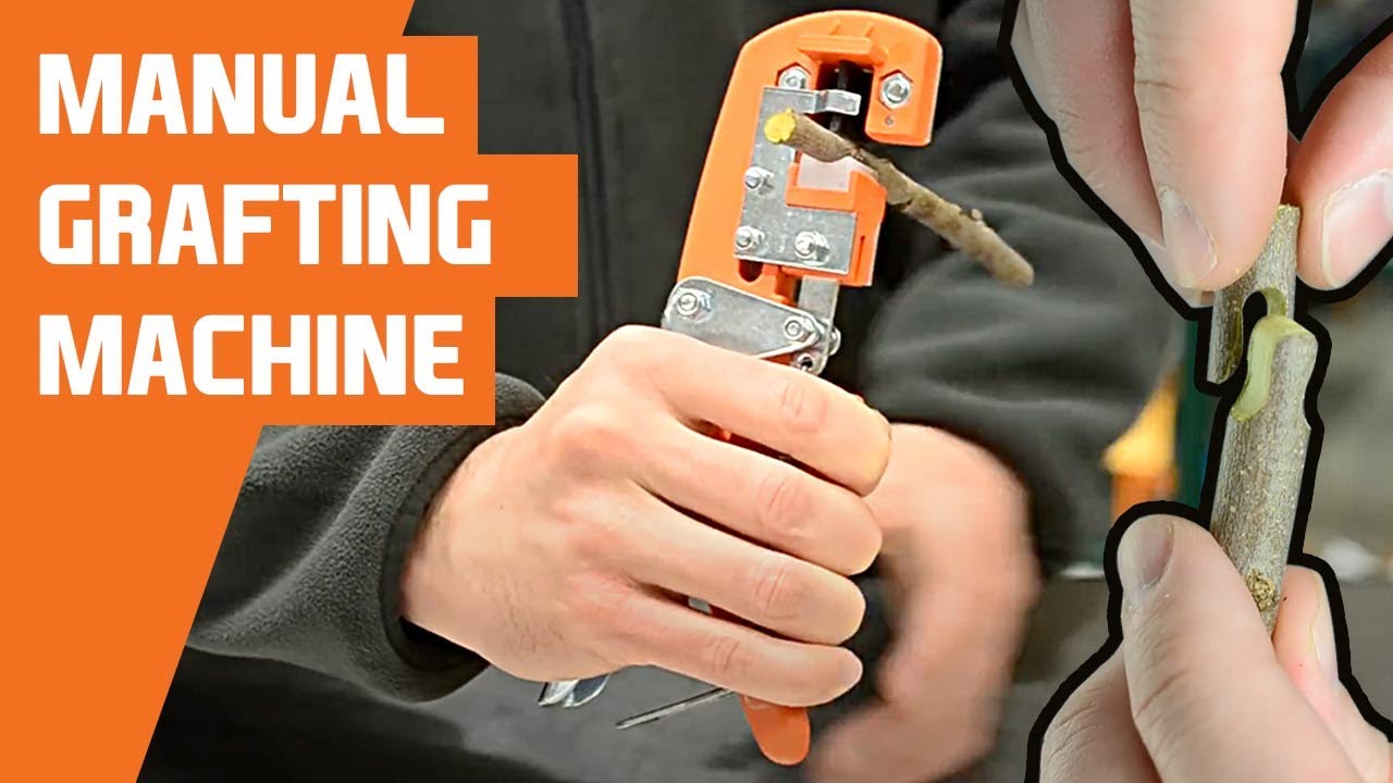 4 Grafting Techniques with a Manual Grafting Machine: English Double Split, Omega, and Bud Grafting