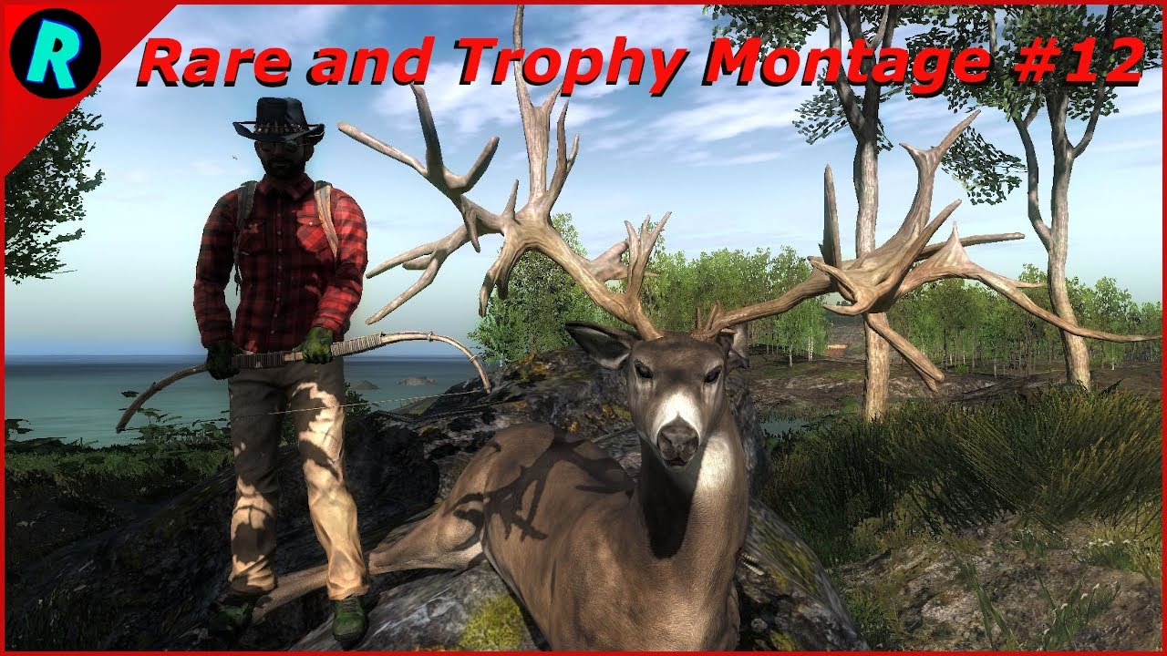 Rare and Trophy Montage #12 | theHunter Classic