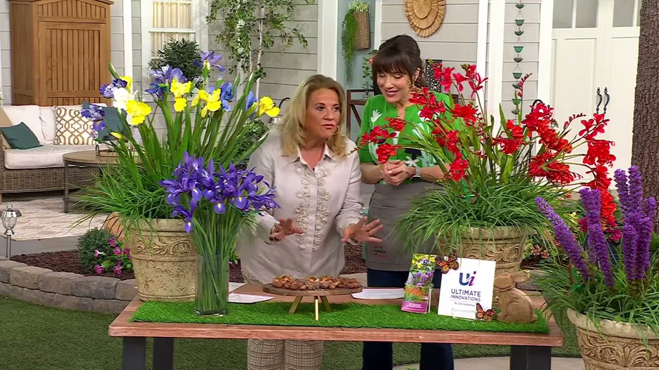 Ultimate Innovations 45-Piece Bulb Cut Flower Collection on QVC