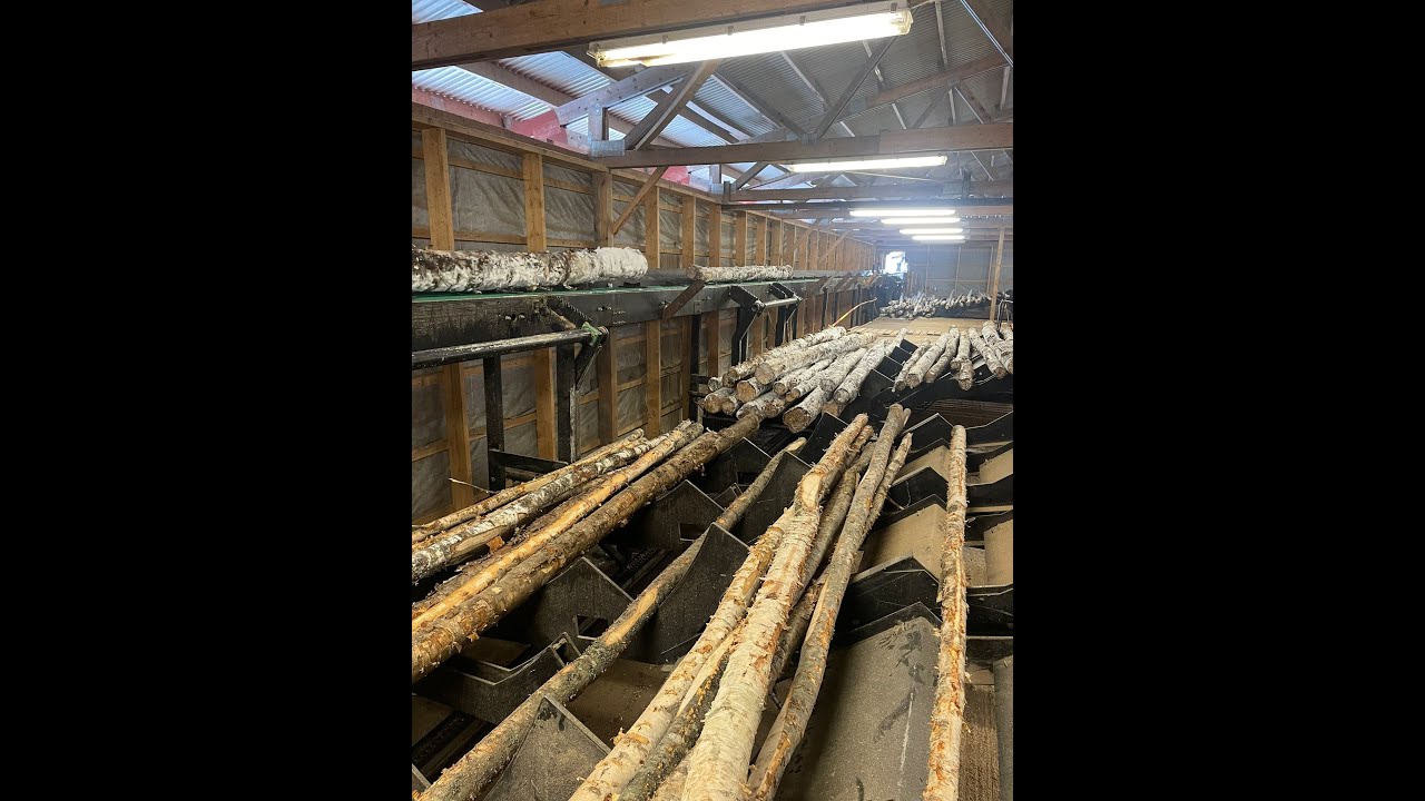 Wood sorting line