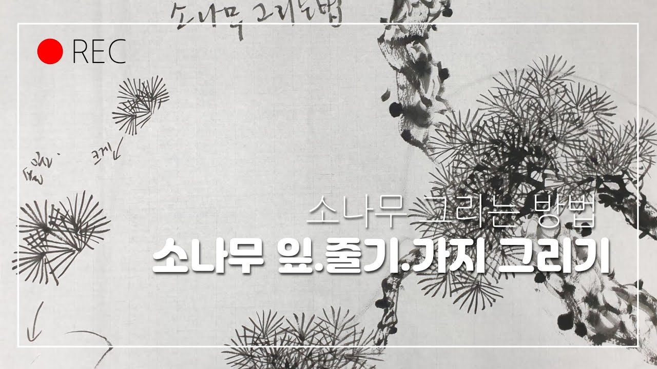 소나무 그리는 방법(잎)