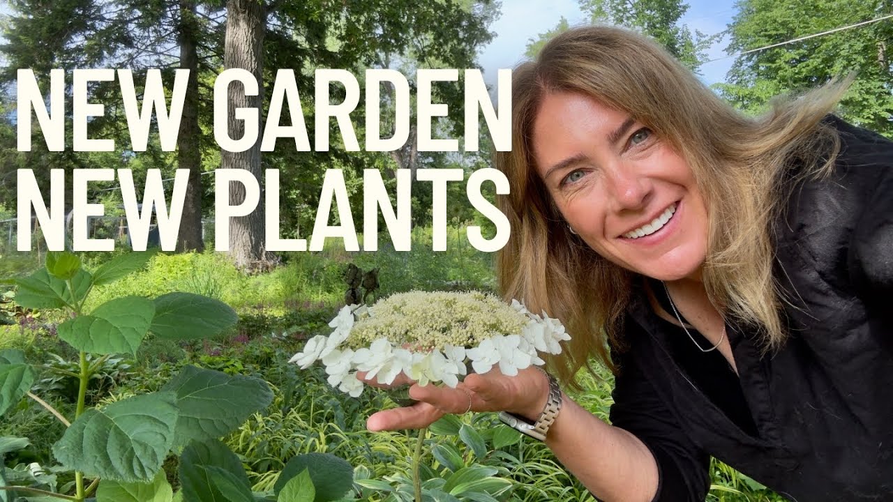 (Finally) planting the garden extension