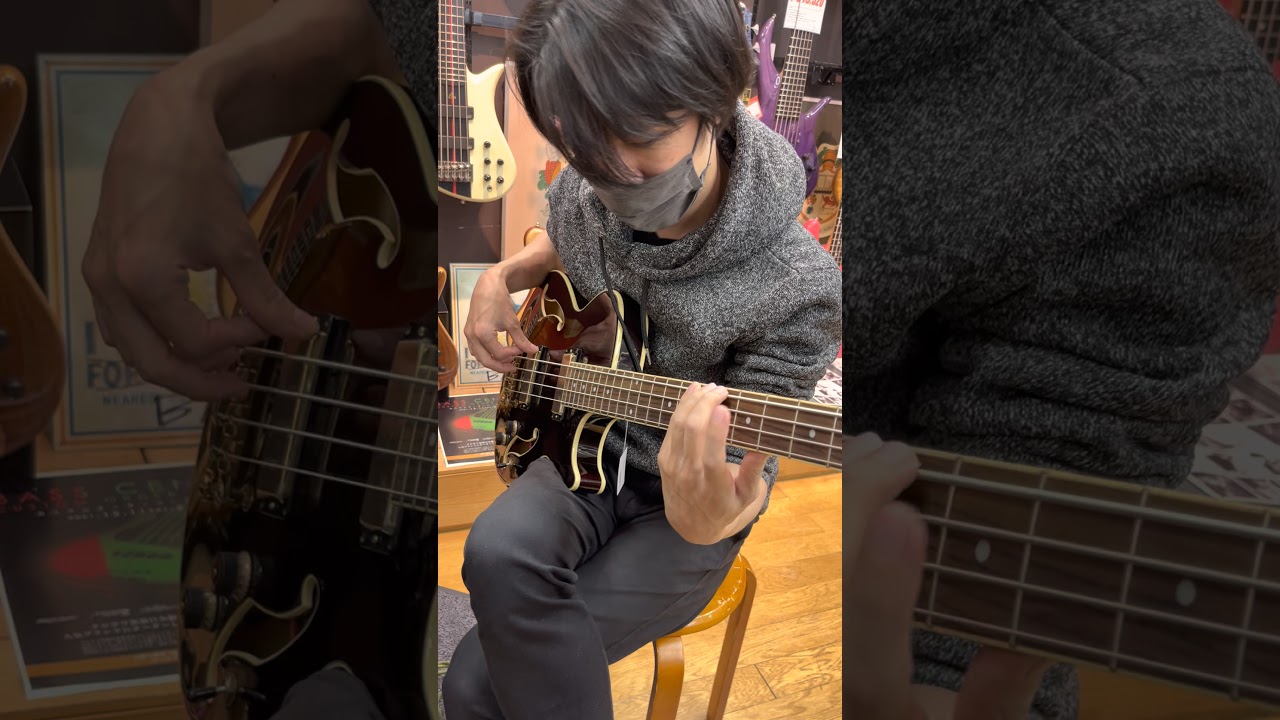可愛い子がウチに来ました。#Ibanez #bass #rock