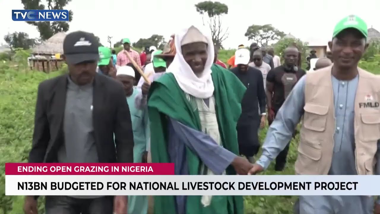FG Begins Revamping Of Kawu Grazing Reserve, Targets 30,000 Cattle Capacity