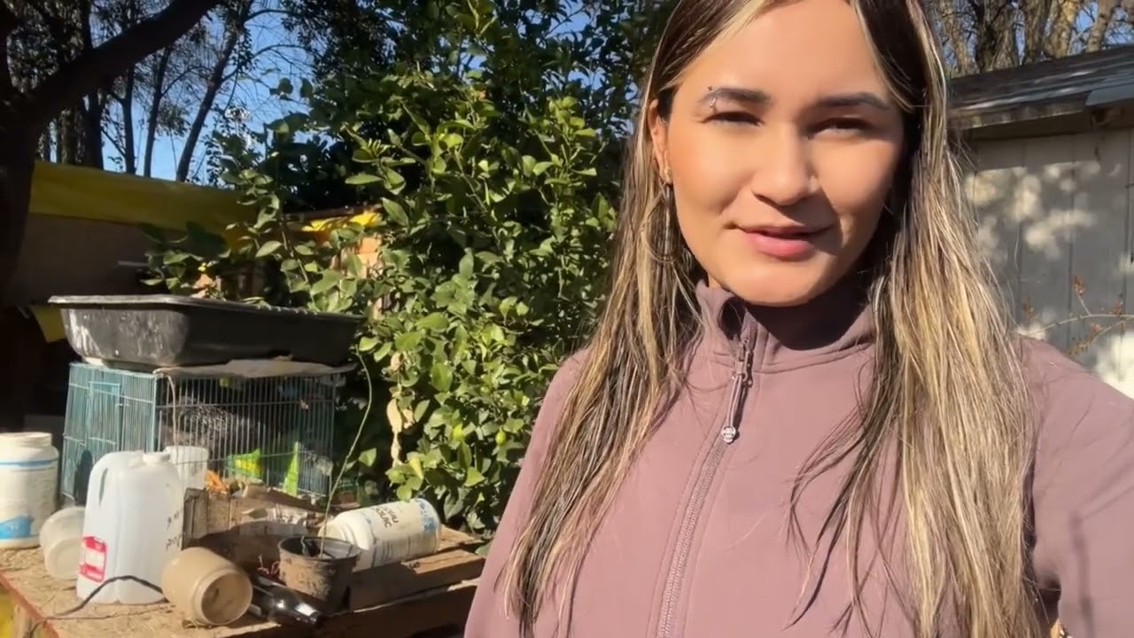 Actualización de mi pequeña granja 🐓🪿🐐🌵🌱