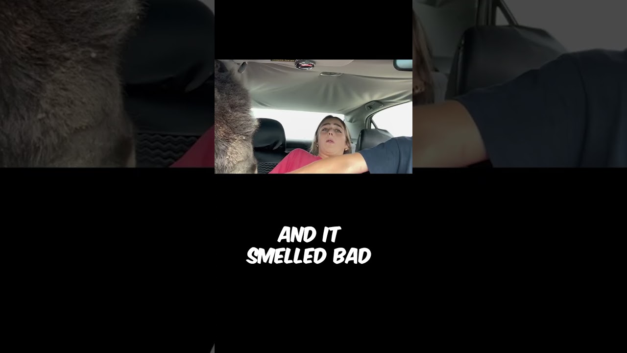 She had the best reactions to a drive thru zoo 🤣