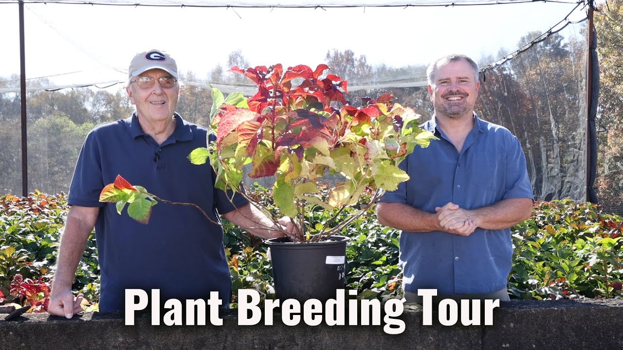 Exciting New Plants with Dr. Dirr