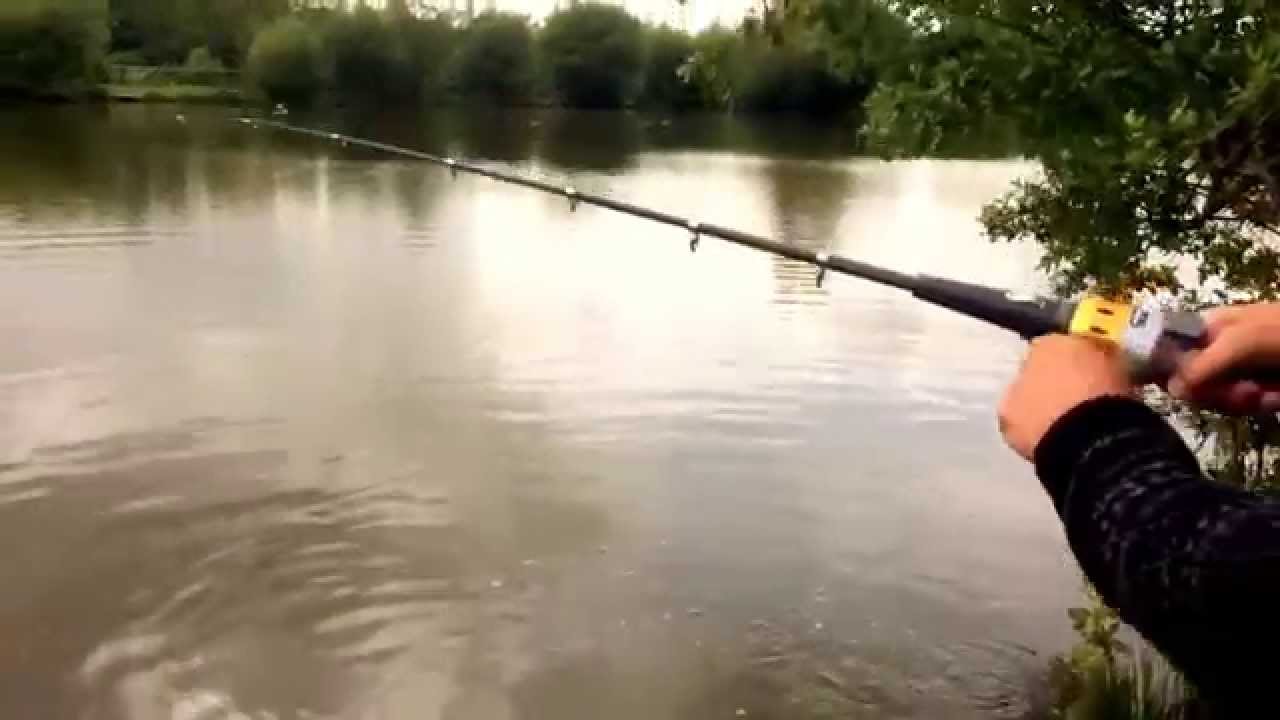 Instant fisherman 2 carp fishing from the margins