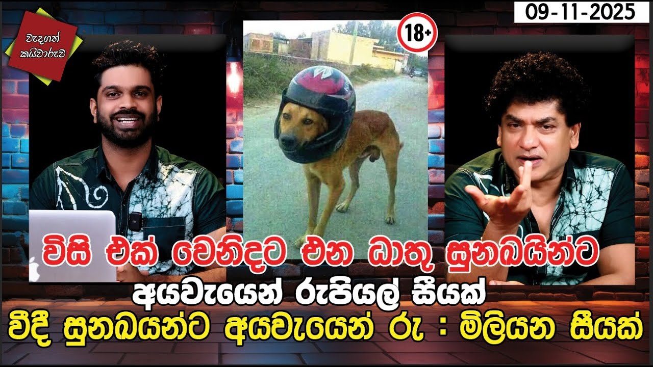 විසි එක් වෙනිදට එන ධාතුන් සුනඛයින්ට අයවැයෙන්ම රුපියල් සීයක්වීදී සුනඛයන්ට අයවැයෙන් රු මිලියන සීයක්
