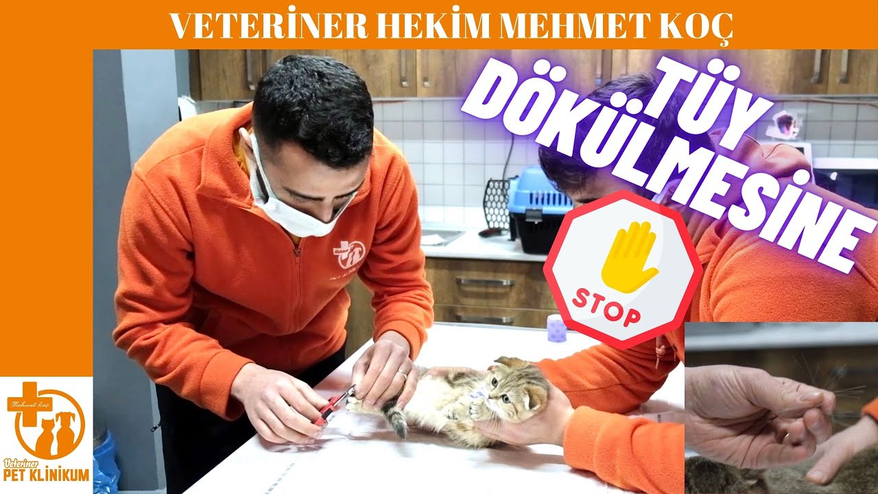 TÜY DÖKÜLMESİNE SON‼️