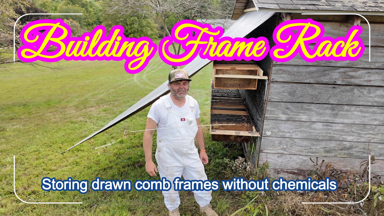 DIY Honeycomb Frame Rack – Chemical-Free Comb Preservation for Beekeepers