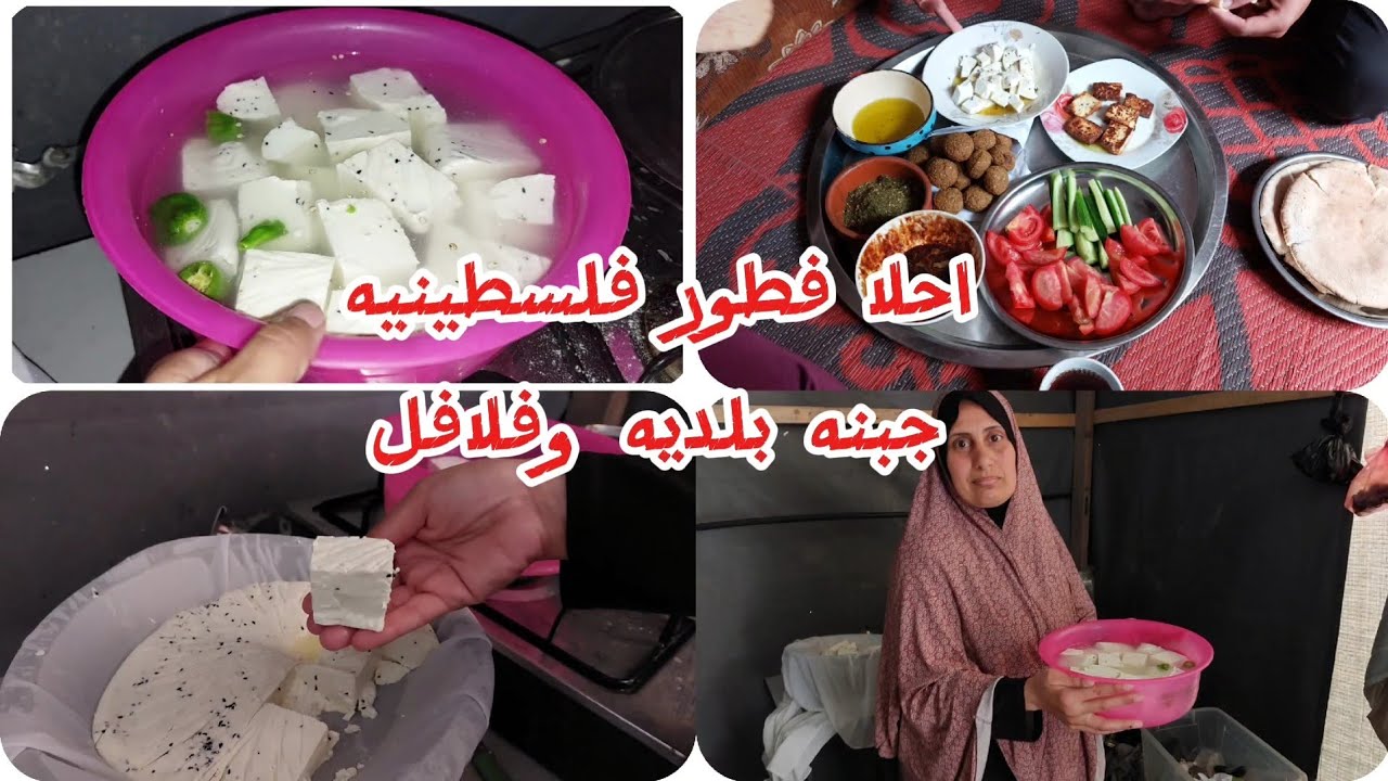 الطريقه بالتفصيل لعمل الجبنه البلديه وشو افضل نوع حليب لعمل الجبنه وعملتلهم فطور ولا اطيب 🧀🍽