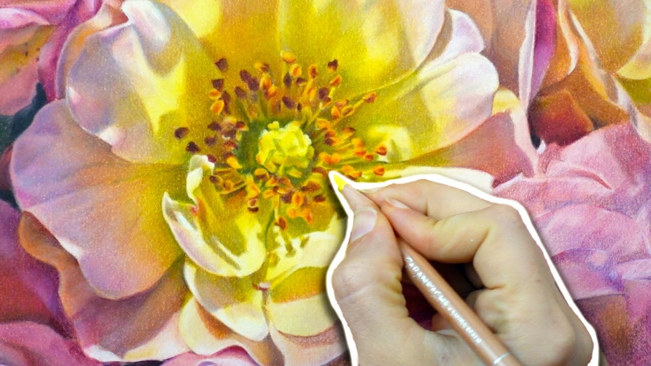 Рисуем РЕАЛИСТИЧНЫЕ цветы! 8 профессиональных советов для художников, рисующих цветными карандашами