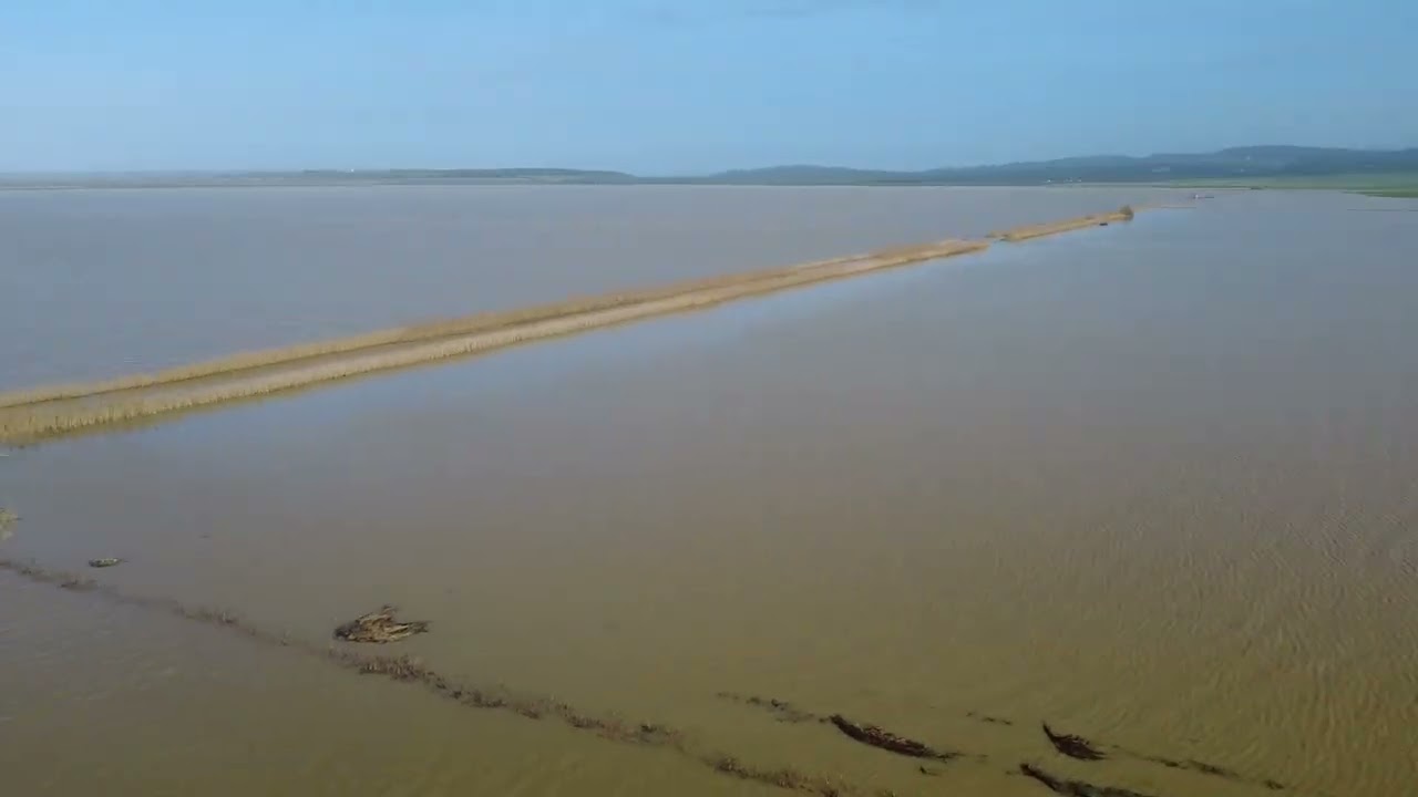 Laguna de la Janda. Inundaciones Enero-Febrero de 2026