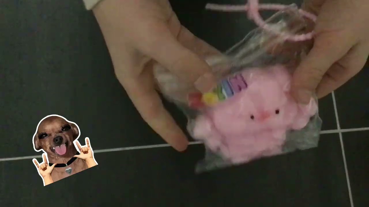 Tiere Quetschen 