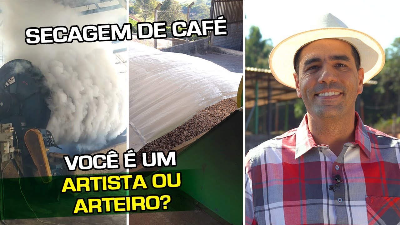 Novas Técnicas de Secar Café de Forma Estática | No Pé do Café