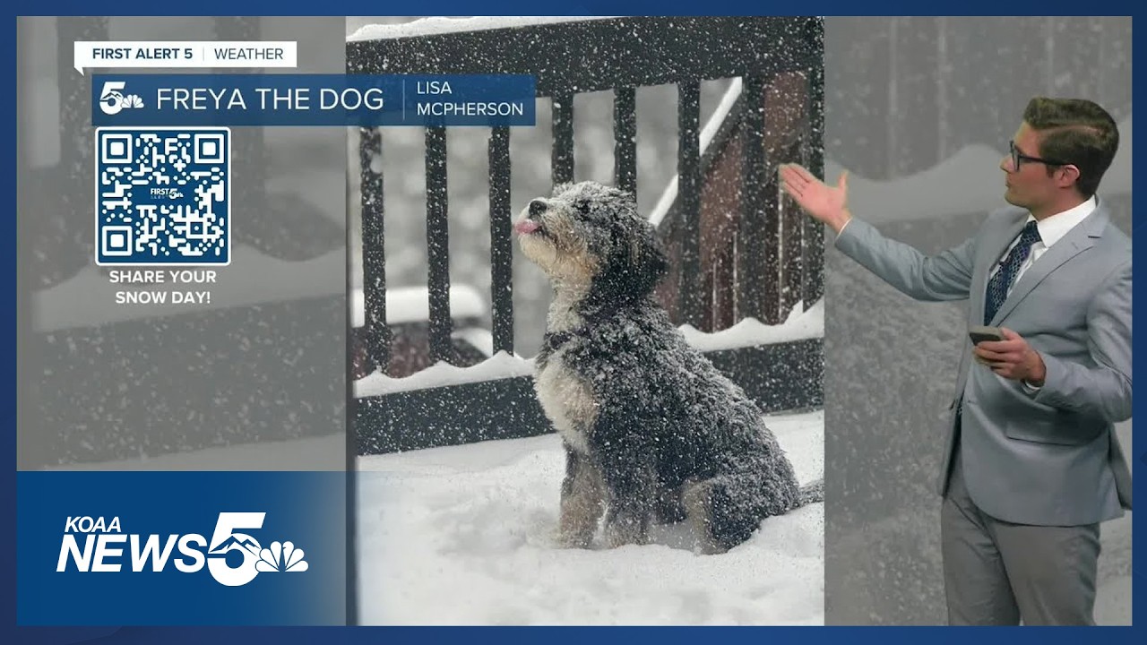 Snowmelt sunshine on Saturday before 60s and 70s return Sunday