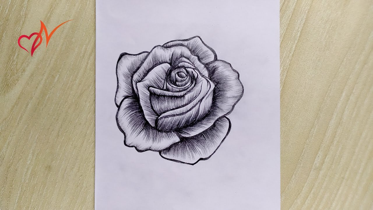 How to draw a realistic rose so easily || Pencil sketch drawing for beginners - Full tutorial