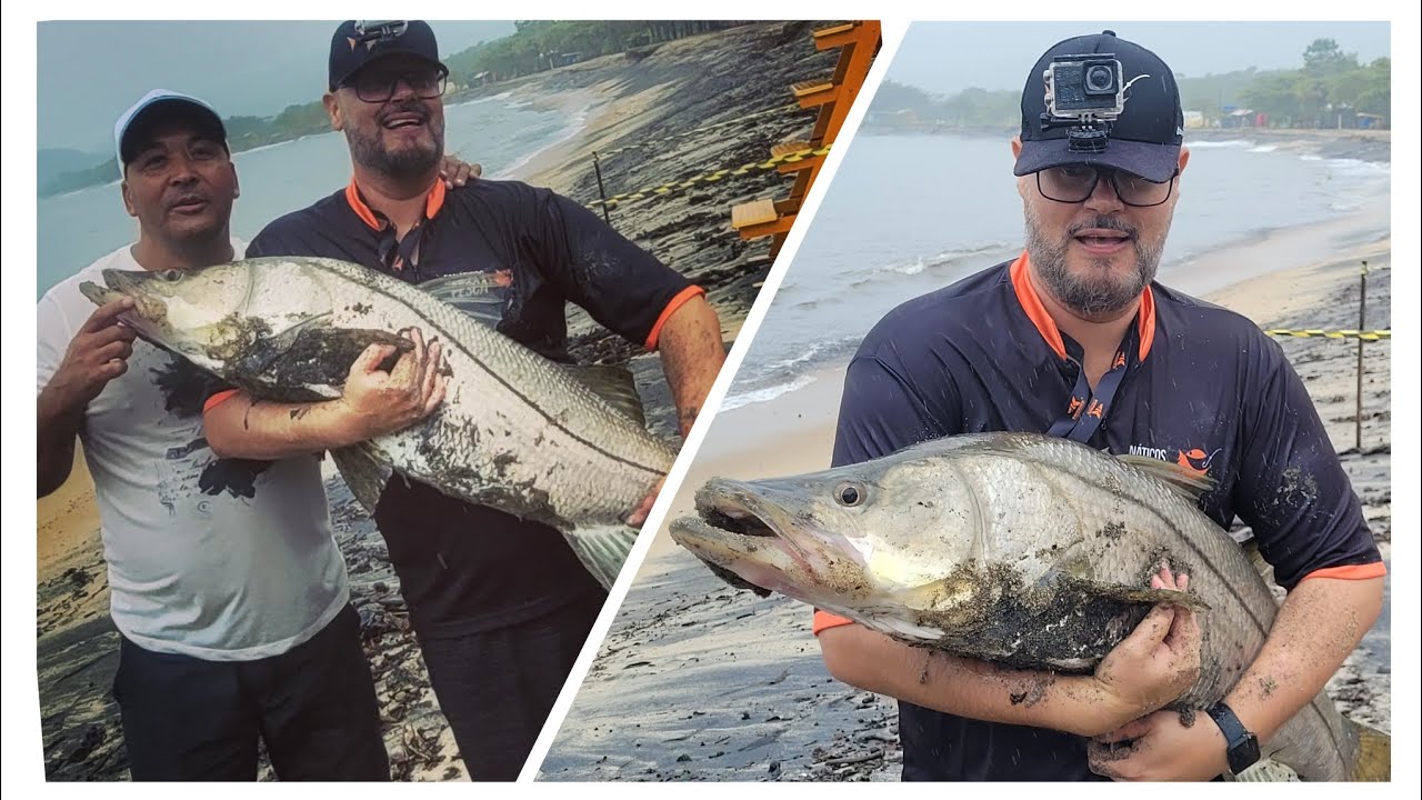 Robalo Flecha Gigante em Caraguatatuba
