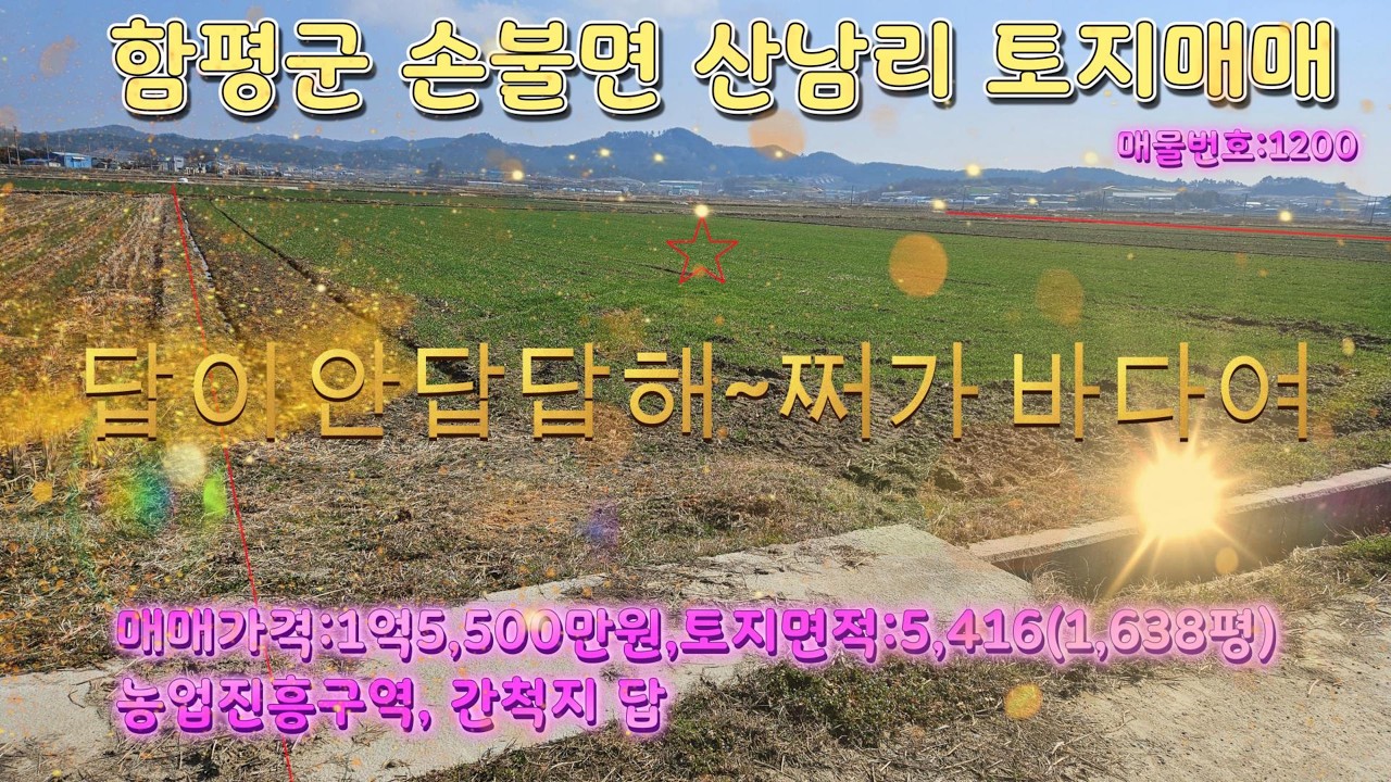전라남도 함평군 손불면 산남리 답 매매합니다.