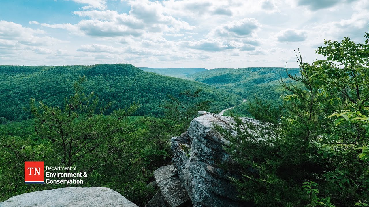Welcome to TN's 60th state park - Scott's Gulf Wilderness State Park!