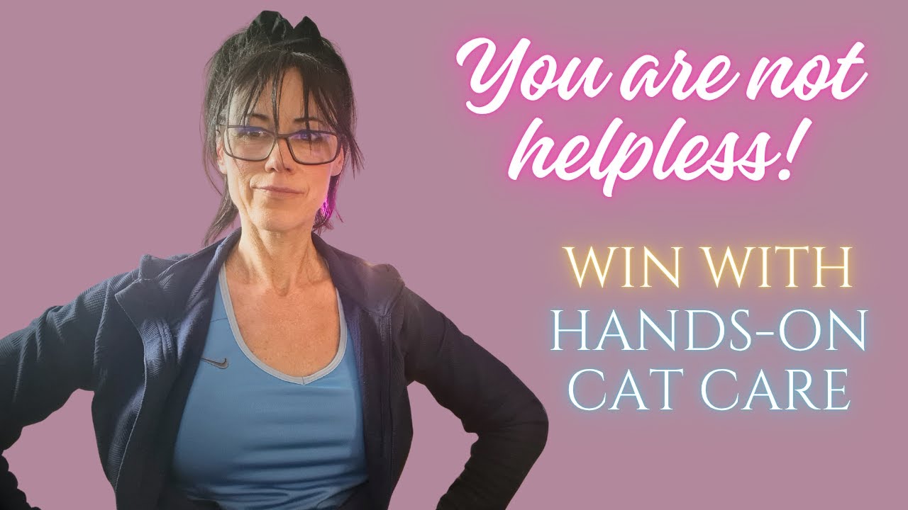 The Truth About Hands-On Cat Parenting: Stop Relying on Vets Alone