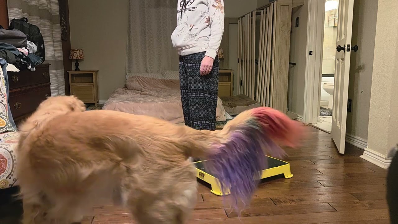 Week 2 Leo Platform/Heel Position 0:59