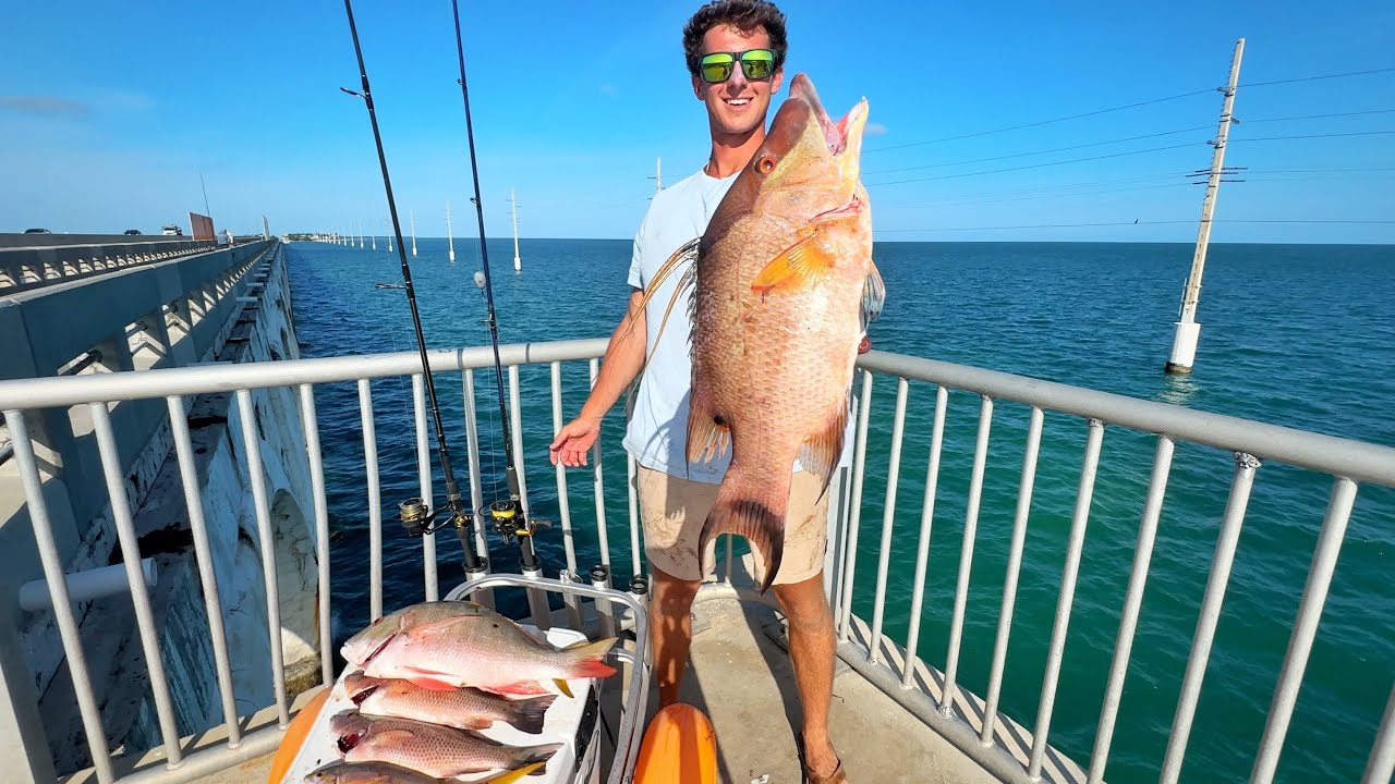 Land-Based Fisherman's Paradise | Bridge Fishing Catch and Cook