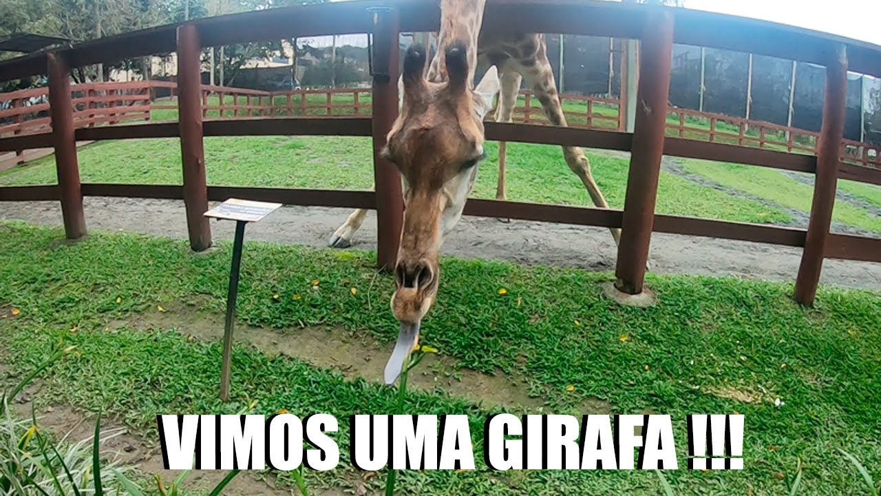 CHEGAMOS EM POMERODE