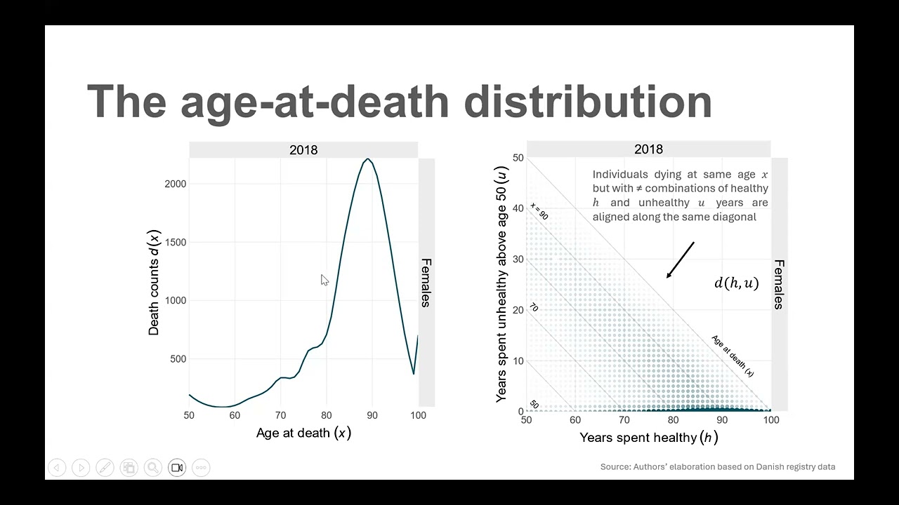 Formal Demography Working Group meeting 13