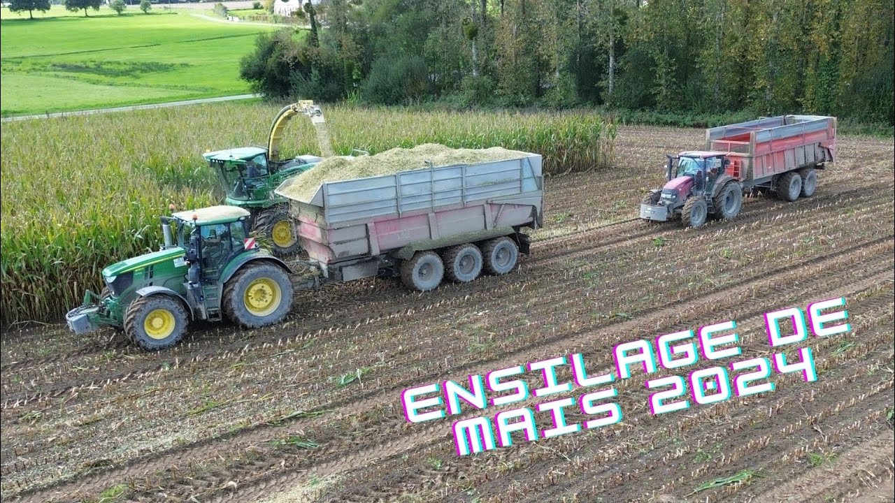 Ensilage de maïs avec une 12 rangs 🌽🚜🤯