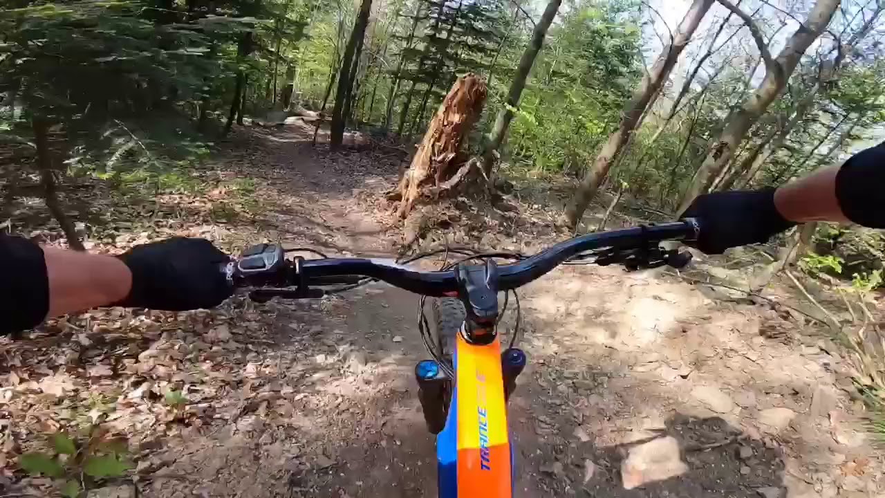 Rosskopf | Hubbelfuchs Trail | Freiburg-Herdern | E-MTB