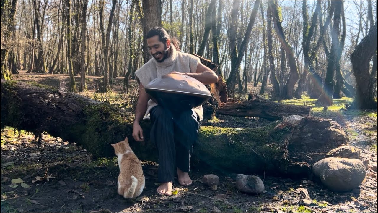 A Peaceful Day in the Forests of Iran | Handpan, Breath & Meditation
