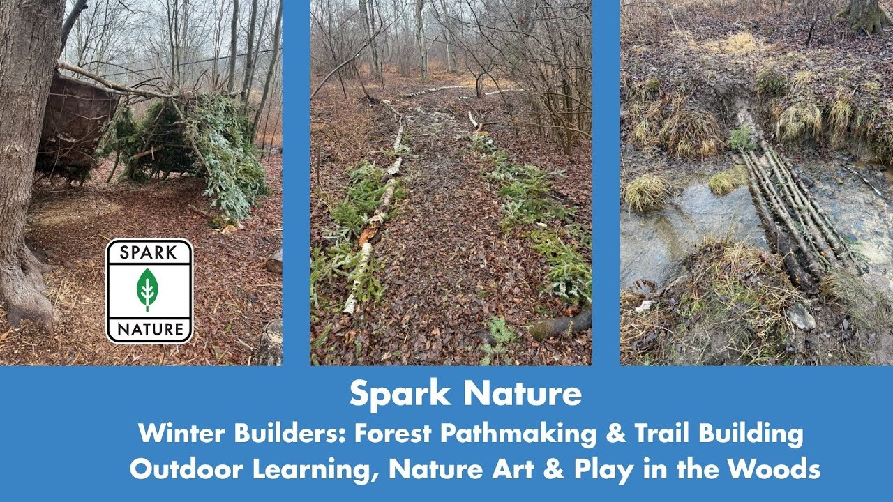What Happens When Kids Do Real Work in the Forest? | Winter Builders Week 2
