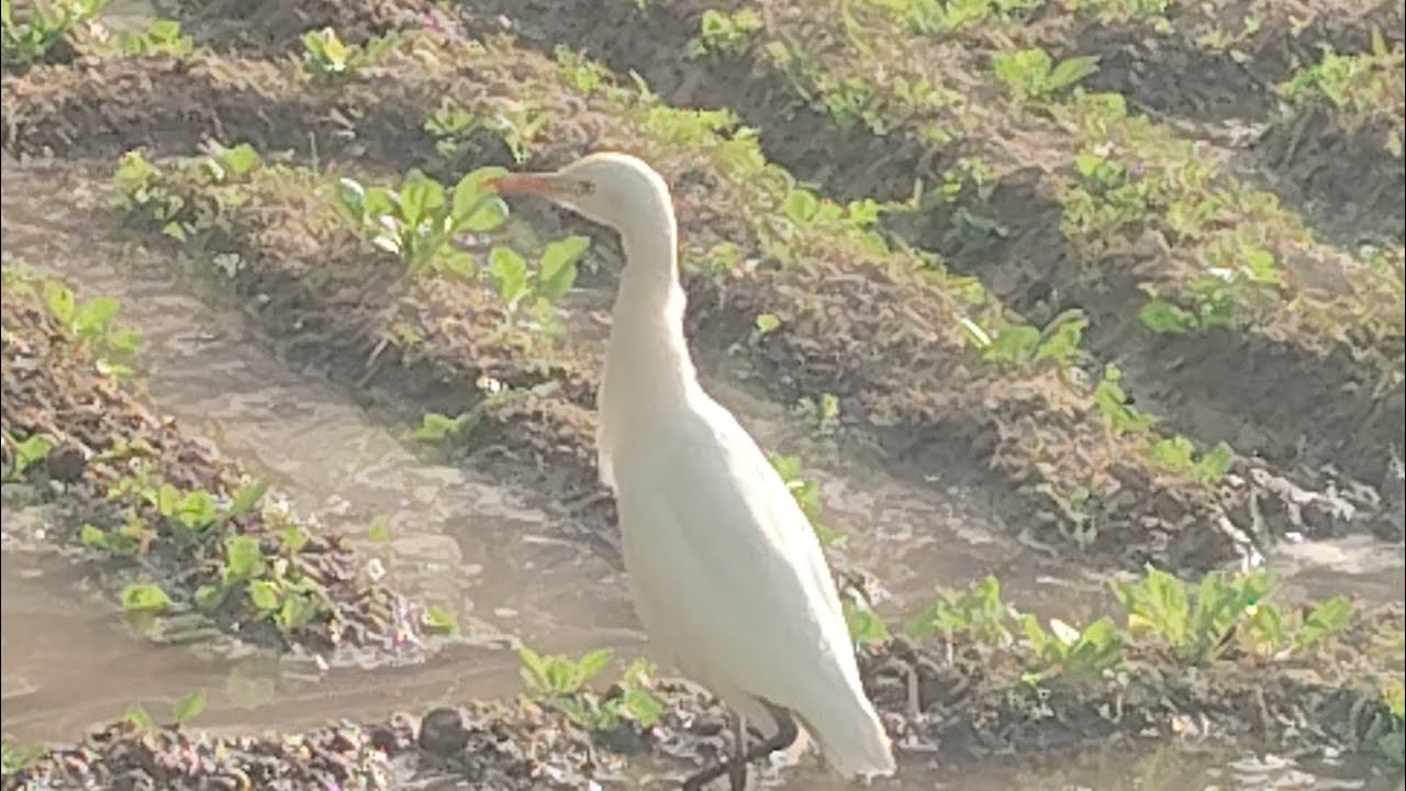 Suhana Mausam💫🌨🌥☀