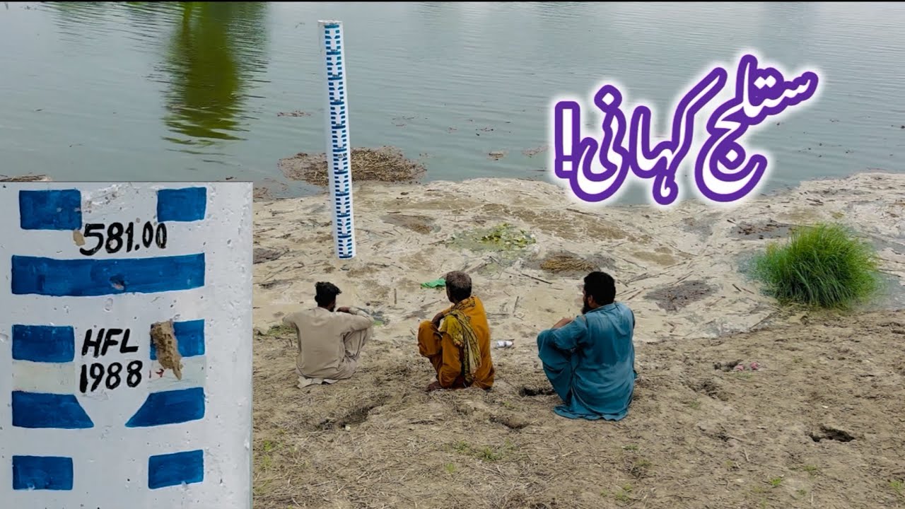 The story of the Sutlej: Farmers’ crops have been submerged