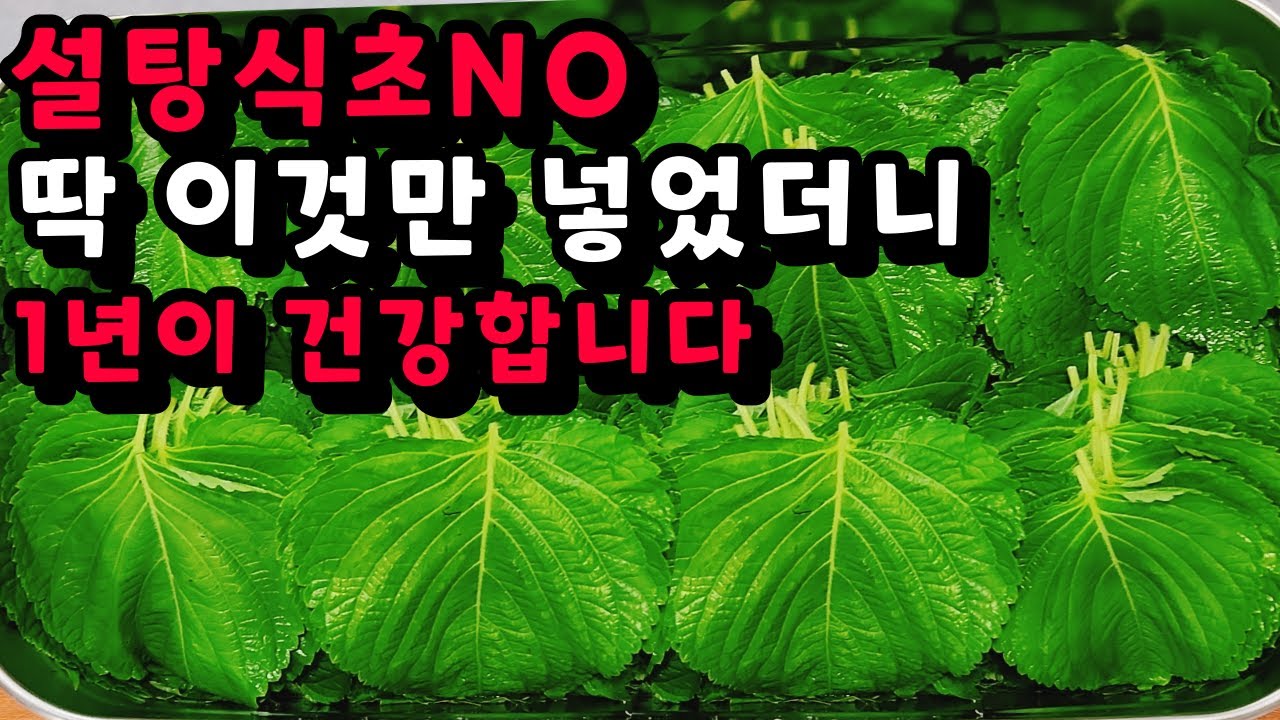 💚실온에 1년 넘게 두어도 되는 깻잎요리 한통 가득 만들어도 남아나질 않습니다