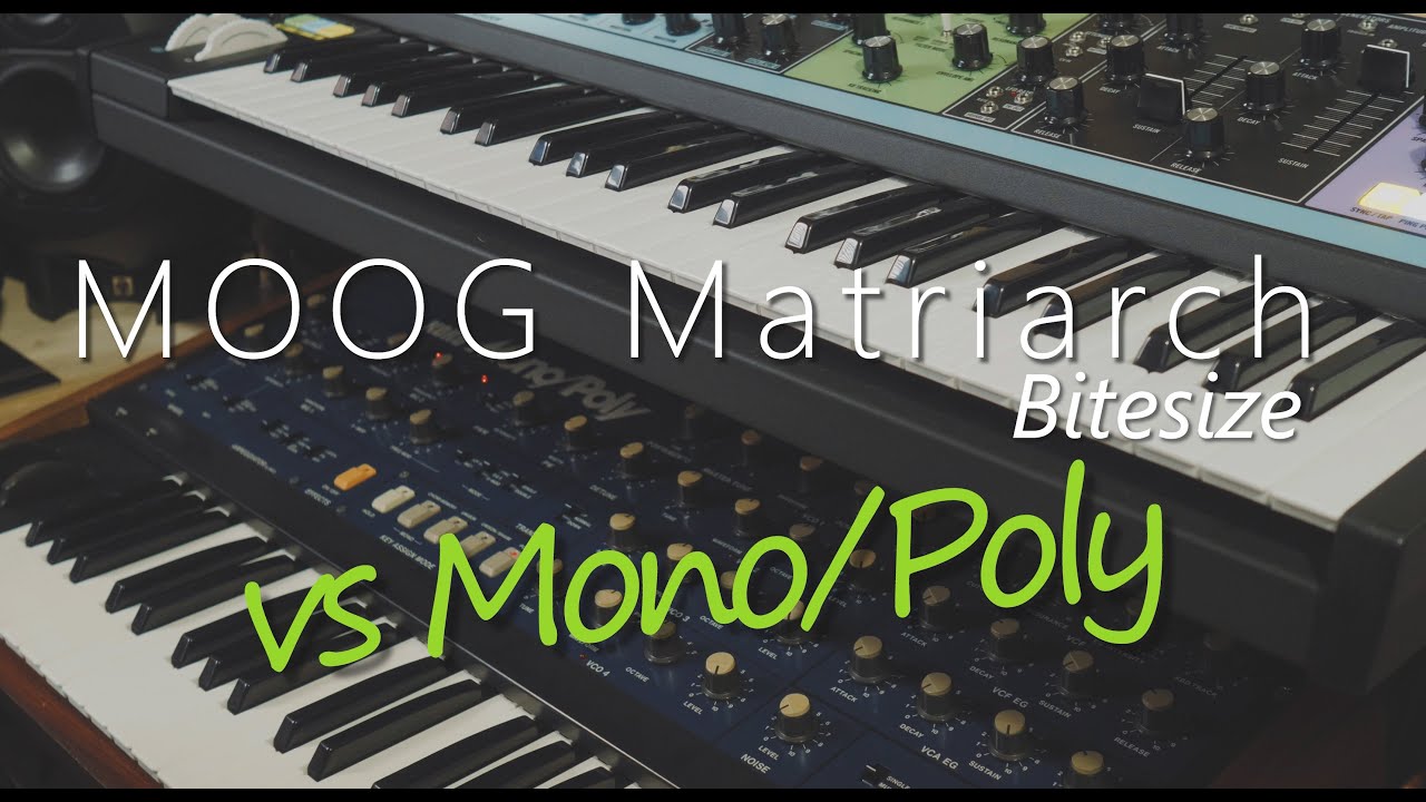 Moog Matriarch Bitesize #2 : Korg Mono/Poly Comparison