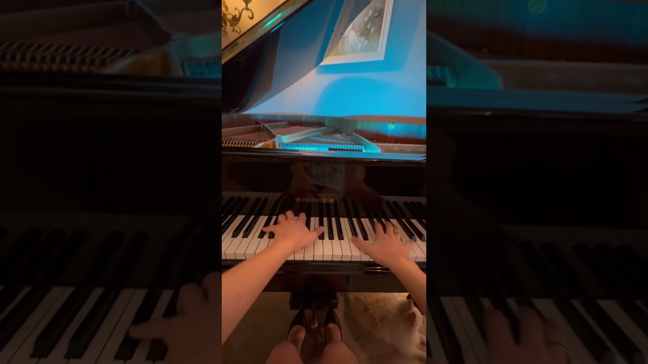 Join my profile and learn play the piano🎹🫶🏻 #piano #sheetmusicplus #pianoguys