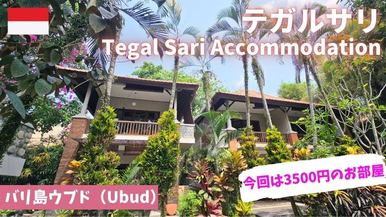 【バリ島ウブド】テガルサリ/今回は1泊３５００円のお部屋/ホテル宿泊記/女ひとり旅/ウブドのおすすめホテル/モンキーフォレスト/プンゴセガン/トゥガルサリ/Tegal Sari/Ubud/デイユース/