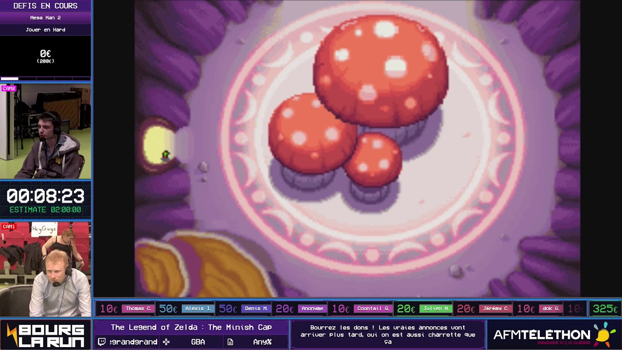 The Legend of Zelda : The Minish Cap (Any%) [BLR2018]