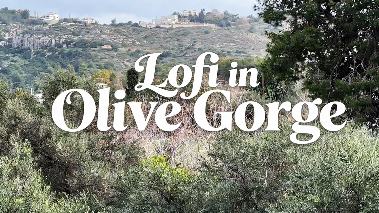 🌿 Olive Grove Breeze | Lo-Fi Music for Relax, Study, Work & Peaceful Focus
