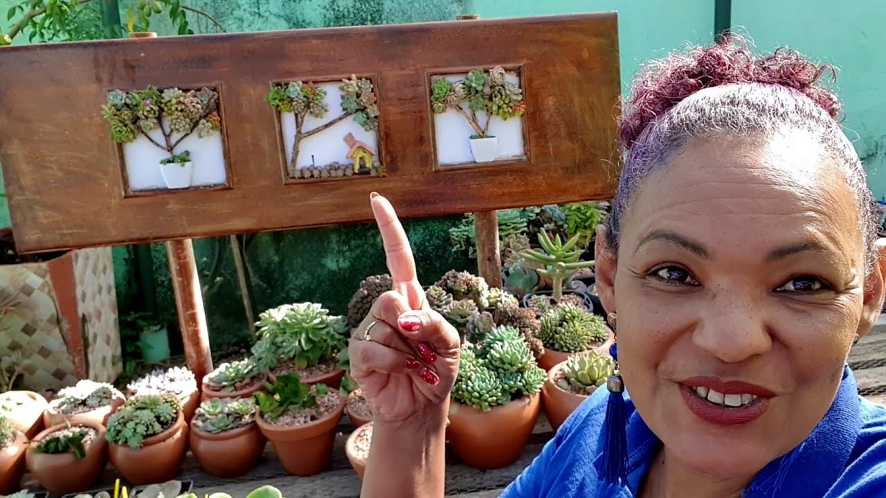 QUADRO DE SUCULENTAS FEITO COM PORTA VELHA🤗🤗🤗