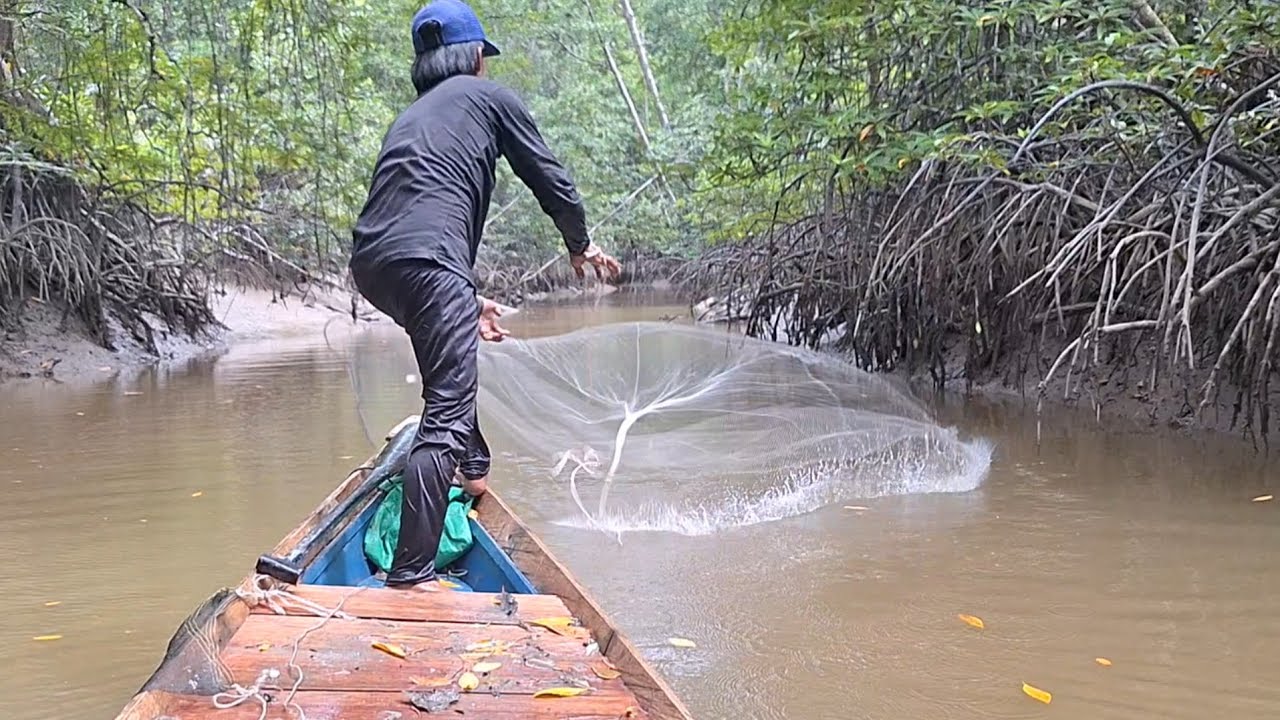 LUAR BIASA UDANG NYA MAKIN KE HULU MAKIN MENGERUTUP, UDANG DAN IKAN MASIH BERLIMPAH DI MUARA BERAU