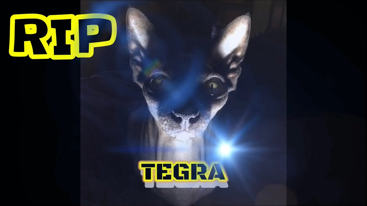 TEGRAS LIFE 2016-2023
