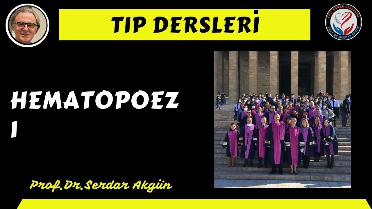 Fizyoloji, Hematopoez, 1, Prof.Dr.Serdar Akgün, Tıp Dersleri, Serdar Akgün Tıp Videoları