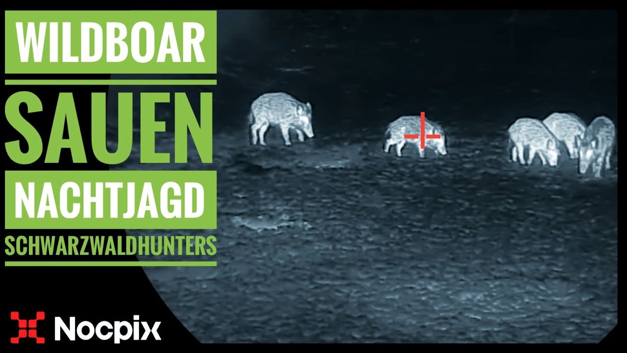 SCHWARZWILD | Nachtjagd auf Sauen | WILDBOAR Night Hunting with Nocpix | Schwarzwaldhunters