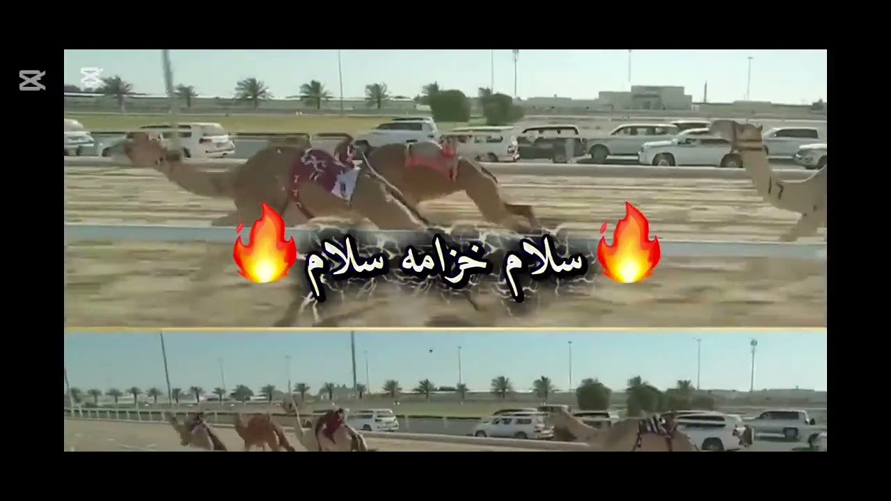خزامة النواميس سلام بن حبيبه سلام 🔥🫡