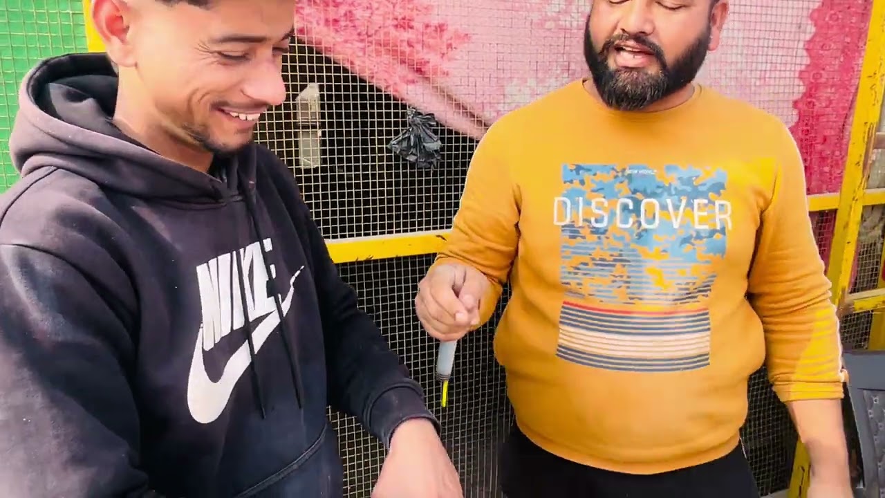 D warming kiti kabutra di